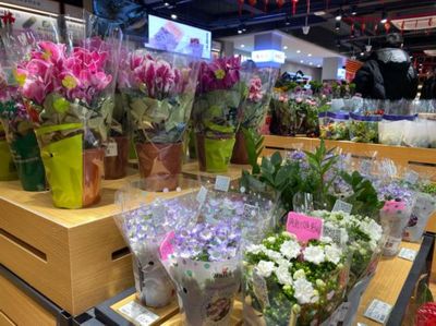 社區(qū)生鮮店 不賣雞蛋不燒錢，如何用非傳統(tǒng)策略贏得社區(qū)青睞？